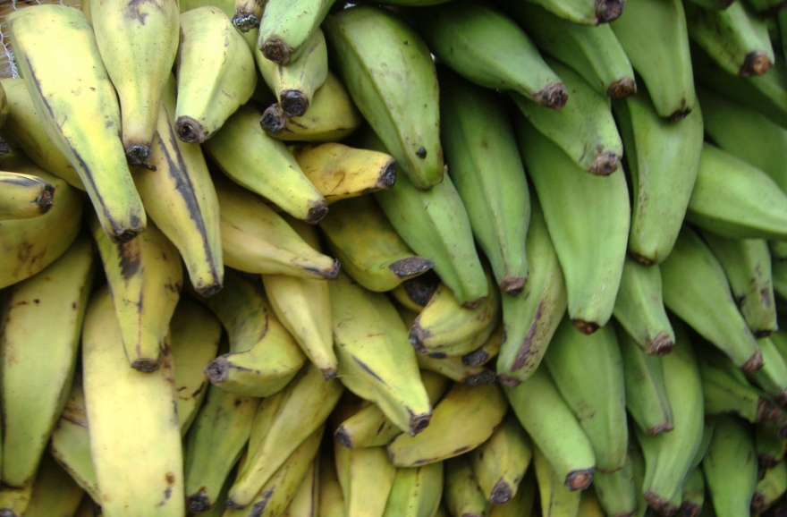 Benefits of plantain tvafrinet