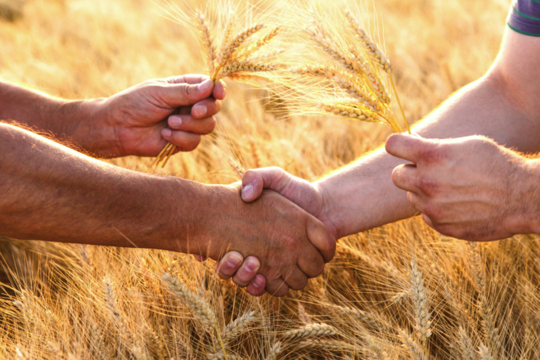 Egypt successfull Agri-trade agreement with Philippines