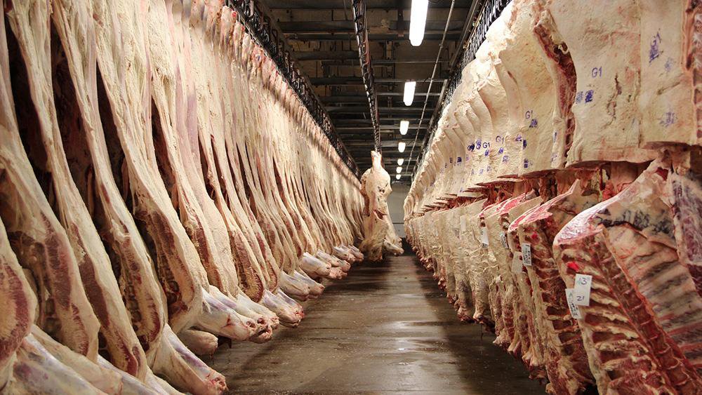 Pork production Tvafrinet