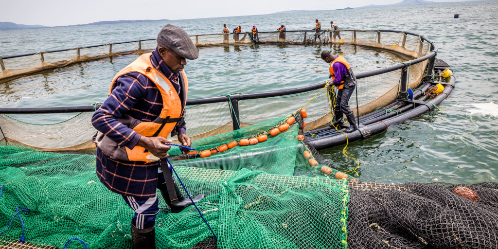 Fishing industry in kenya Tvafrinet