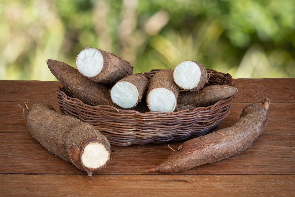 Cassava Tvafrinet