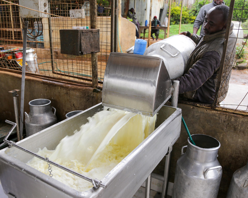Kenyan dairy farmers Tvafrinet