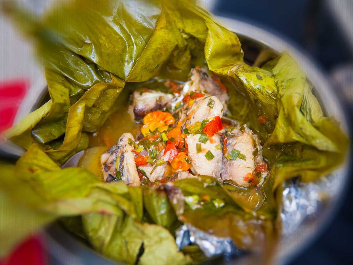 Laboke a congo dish Tvafrinet
