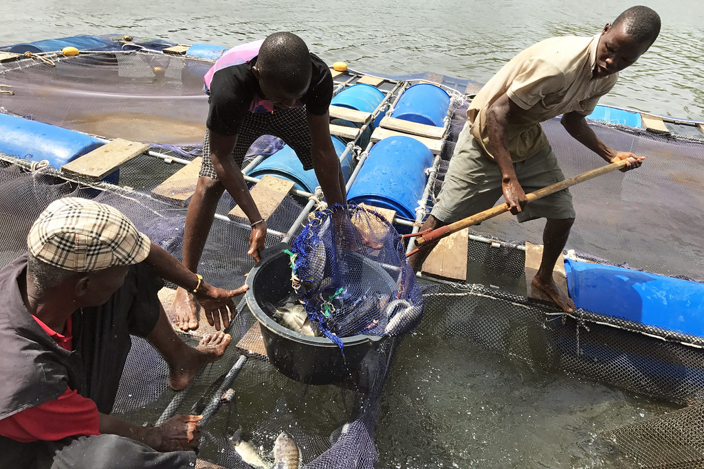Fish famers in south Africa raise concern of the oil and gas exploration Tvafrinet