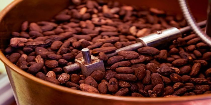 Switzerland’s first 100% organic cocoa processing plant Tvafrinet